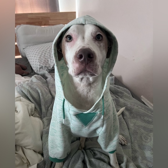 Meet your Posher, Chrissy - Picture 4 of 5